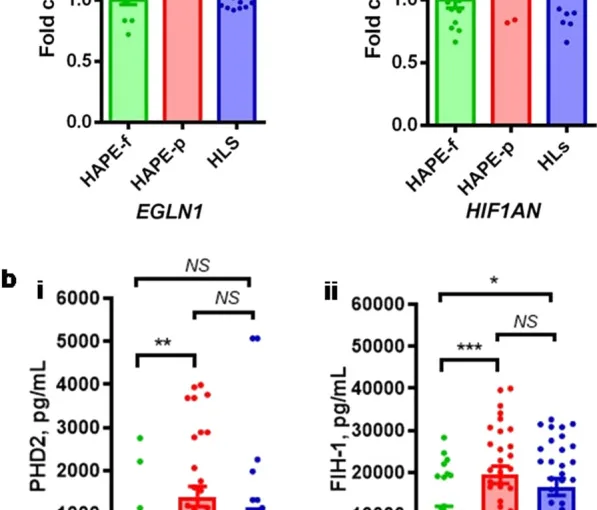 Article figure from Clinical epigenetics (2022)