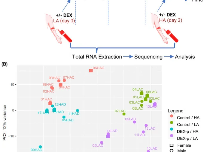 Article figure from Bioscience reports (2023)