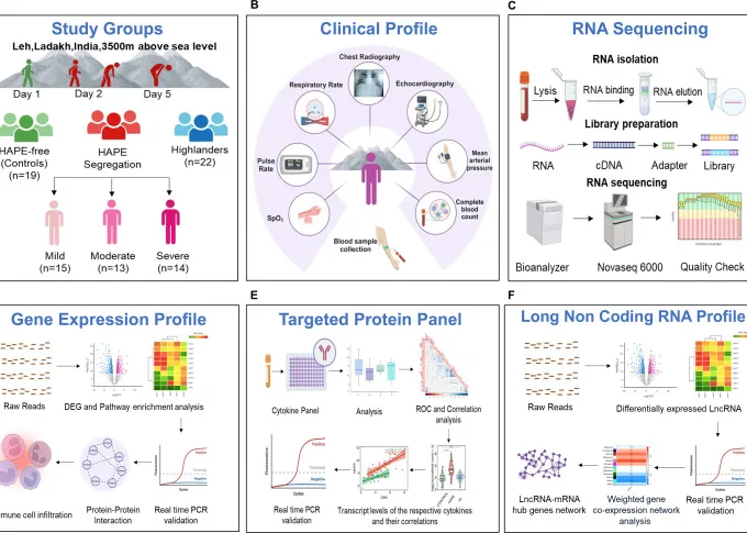 Article figure from Bioscience reports (2025)